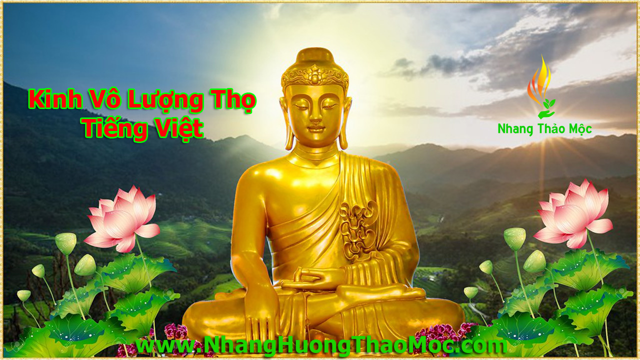 kinh vo luong tho tieng viet